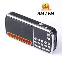 Easycare Portable Mini AM FM Radio Clear Speaker Music Player (L088-AM Black)