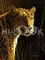 Hi-Look Microfiber Cleaning Cloth - Leopard Portrait