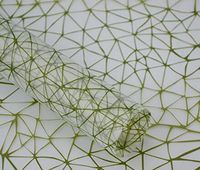 [Green] 20PCS Packaging Materials Exquisite Flower Packaging Cellophane