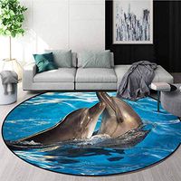RUGSMAT Dolphin Super Soft Circle Rugs for Girls,Aqua Show Photography Circle Rugs for Living Room Diameter-35