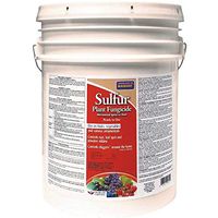 Dust Sulfur Bucket 25lb