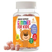 Kids Immune Support Gummies with Vitamin C, Echinacea and Zinc - Children's Immunity System Support & Vitamin C Gummy, Tasty Natural Fruit Flavor, Vegan by Nature's Nutrition - 90 Gummy Bears