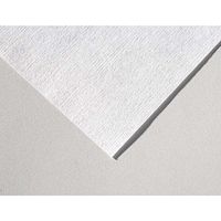 Coventry Econowipes Cellulose/Polyester Economy Series 4 x 4" 1200 per Bag