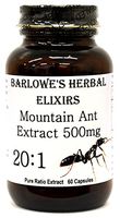 Mountain Ant Extract 20:1-60 500mg VegiCaps - Stearate Free, Bottled in Glass! Free Shipping on Orders Over $49!