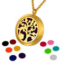 HOUSWEETY Aromatherapy Essential Oil Diffuser Necklace-Stainless Steel Locket Pendant,11 Refill Pads (Non-Engraving)
