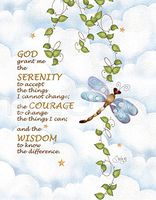 Hi-Look Microfiber Cleaning Cloth - God grant me