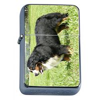 Dog bernese mountain dog Oil Lighter