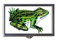 Green Frog Victorian Color Naturalist Art Decorative Pill Box
