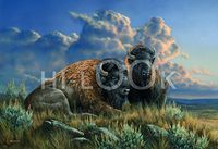 Hi-Look Microfiber Cleaning Cloth - Distant Thunder - Bisons