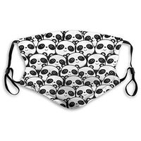 Mouth Masks for Dust Protection Face Mask Washable Earloop Mask Activated Carbon Filter Panda