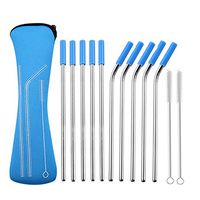 Stainless Steel Straws Set of 10 Reusable Drinking Straws with Travel Case Cleaning Brush Silicone Tips Eco Friendly Extra Long Metal Straws - STSET0003