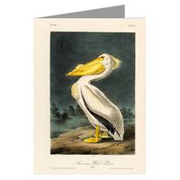 Twelve Note Cards of John James Audubon Celebrated Illustrations of Audubon's Birds of North America Featuring The American White Pelican