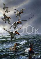 Hi-Look Microfiber Cleaning Cloth - Split Decision