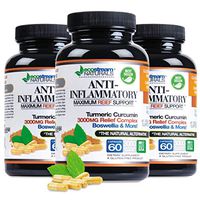 Advanced Natural Anti-Inflammatory (Pack of 3) Pain Relief by Ecostream Naturals for Joints, Swelling and Stiffness with Turmeric, Curcumin, Enzymes and Boswellia - Vegetarian, Gluten Free