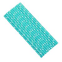 Biodegradable Reusable Paper Drinking Straws (Premium Quality), Stripe Drinking Large Straw | Perfect for Juices, Shakes, Smoothies, Party Supplies, Arts Crafts Pack of 100