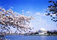 Hi-Look Microfiber Cleaning Cloth - Jefferson Memorial, Washington DC