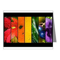 Note Cards (10 Pack) Rainbow Drops Gay Pride Flag