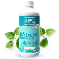 Buried Treasure Stress B Gone with Kava Kava Root, B Vitamins and Vitamin C for Stress Relief and Immune Support Natural Relaxation Tropical Flavors 16 oz