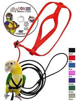 The AVIATOR Pet Bird Harness and Leash: Petite Black