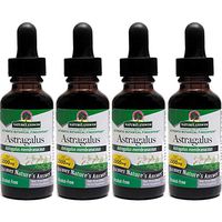Nature's Answer Astragalus Root, 1 Ounces each (Value Pack of 4)