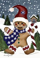 Hi-Look Microfiber Cleaning Cloth - Ask Santa