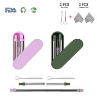 Accueil 2 Pack Telescopic Straw Collapsible Drinking Straw Stainless Steel Foldable Reusable Straw with Keychain and Cleaning Cloth for Party, Travel, School, Household, Outdoor