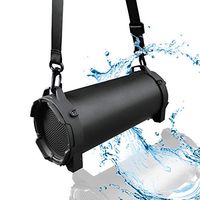 YHML Portable Bluetooth Speaker 5.0-High Power Outdoor Sports Creative Radio TWS Subwoofer Audio Family Travel Support TF/U Disk/AUX Compatible Mobile Phone/PC/Ipad,Black