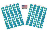Made in USA! 100 Country Flag 1.5" x 1" Self Adhesive World Flag Scrapbook Stickers, Two Sheets of 50, 100 International Sticker Decal Flags Total (Kazakhstan)