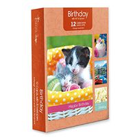 Pack of 12 Religious Birthday Cards, Boxed Enclosure Cards 4 Designs with Envelopes. Includes KJV Scripture on Each Card