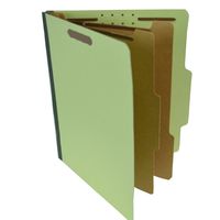 SJ Paper Recycled 2-Divider Classification Folders (SJPS61901)
