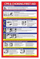 CPR Poster Laminated - Heimlich Maneuver Poster - Baby CPR Poster - Infant CPR Poster - Choking Poster for Restaurants - CPR Guidelines - 12 x 18 Inches, Laminated
