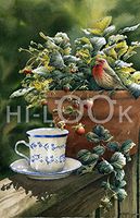 Hi-Look Microfiber Cleaning Cloth, bird design - Tea and Strawberries