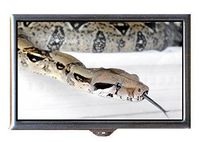 Snake Reptile Creepy Color Photograph Decorative Pill Box