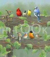 Hi-Look Microfiber Cleaning Cloth with Railbirds print