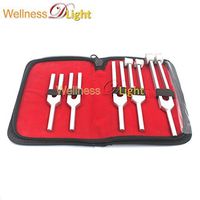 WDL Tuning Fork, 5 Count (Pack of 5)