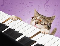Hi-Look Microfiber Cleaning Cloth - Cat Playing Piano