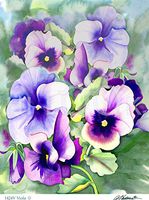 Hi-Look Microfiber Cleaning Cloth - Violet, Illinois State Flower