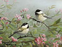 Hi-Look Microfiber Cleaning Cloth with Chicadees and Blossoms print