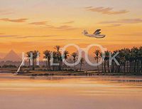 Hi-Look Microfiber Cleaning Cloth - Tropical Sunset