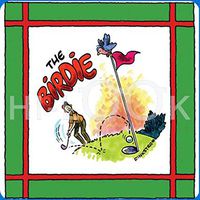 Hi-Look Microfiber Cleaning Cloth - The Birdie