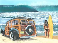 Hi-Look Microfiber Cleaning Cloth - U-GO-GIRL