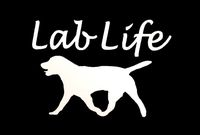 Lab Life - Vinyl - 5" wide (color: WHITE) decal laptop tablet skateboard car windows stickers
