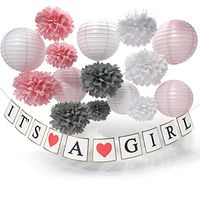 Baby Girl Decorations Baby Shower Decorations Pink   