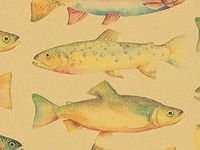 Pack of 1, Rainbow Trout 24" x 833' Full Ream Roll Gift Wrap for Holiday, Party, Kids' Birthday, Wedding & Special Occasion Packaging
