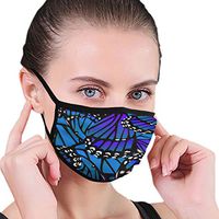 Mouth Masks for Dust Protection Anti Face Mask Washable Earloop Mask Blue Butterfly