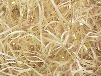 Vanilla Cream Iridescent Cello VERYFINE Fine Cut Gift Basket Shred Paper Filler (6 Oz Bag)