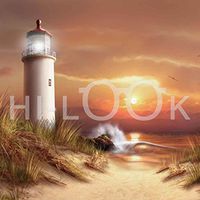 Hi-Look Microfiber Cleaning Cloth - It Will be a Good Day