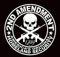 2nd Amendment Gun Vinyl Decal Sticker Truck Diesel Car Hunting Funny iPad, Die cut vinyl decal for windows, cars, trucks, tool boxes, laptops, MacBook - virtually any hard, smooth surface