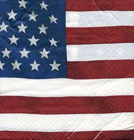 36 Ct! Beverage / Cocktail Napkins US Pride Flag Independence Day 4th of July Picnic, Made in USA, Patriotic