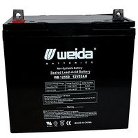 New 12V 55Ah SLA Battery WB12550(Group22F) Replaces UB12550, 45825 USA